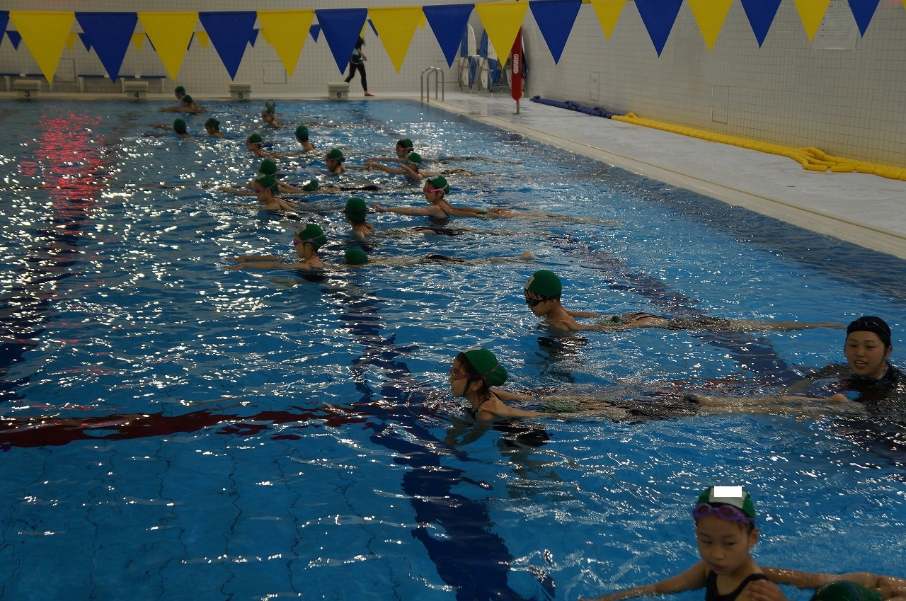 女子低学年　　プール 体育 水泳 | 昭和女子大学附属昭和小学校