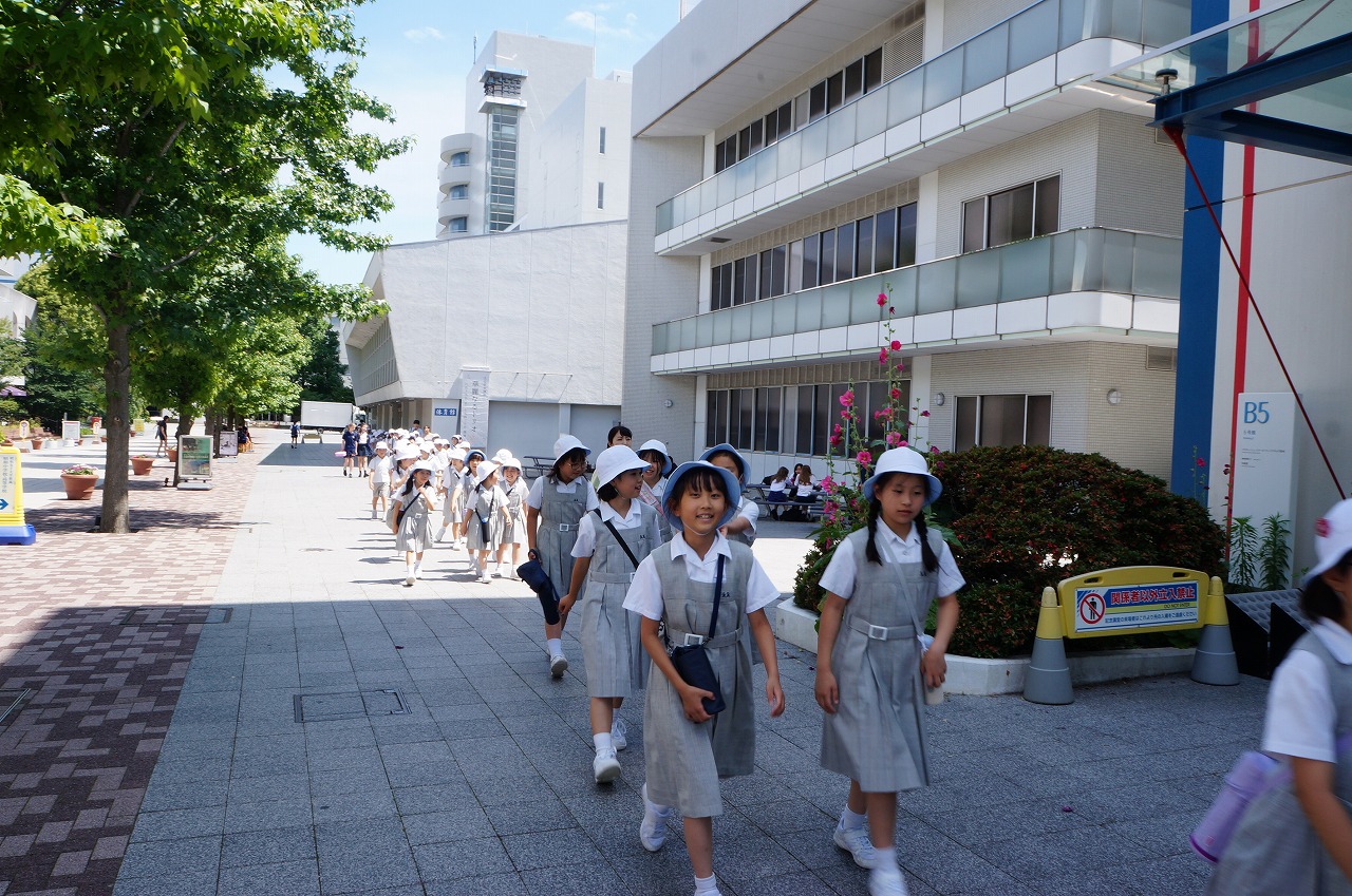昭和っ子の研究 2017年版 社会 昭和っ子の研究 | 昭和女子大学附属昭和小学校