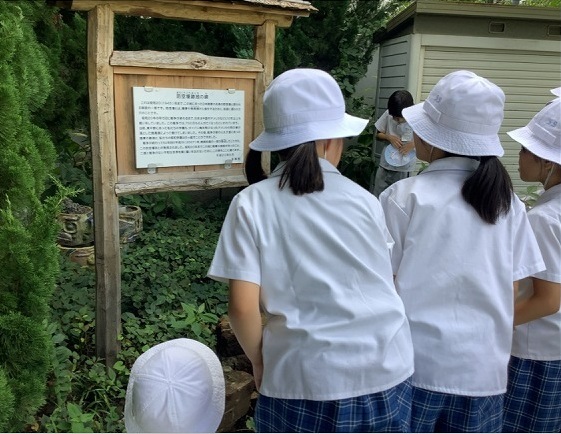 国語 かげおくり | 昭和女子大学附属昭和小学校