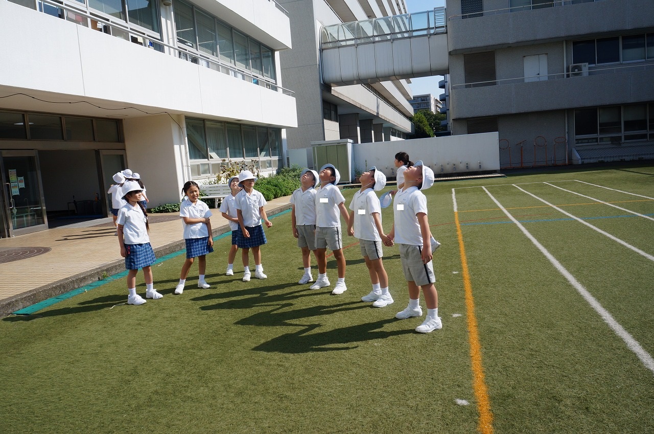 【超希少】ちいちゃんのかげおくりの授業 ちいちゃんのかげおくり | あまん きみこ,上野 紀子 | 絵本ナビ